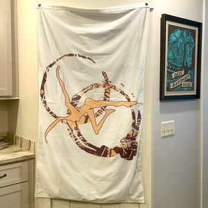 Dave Matthews Band Flag